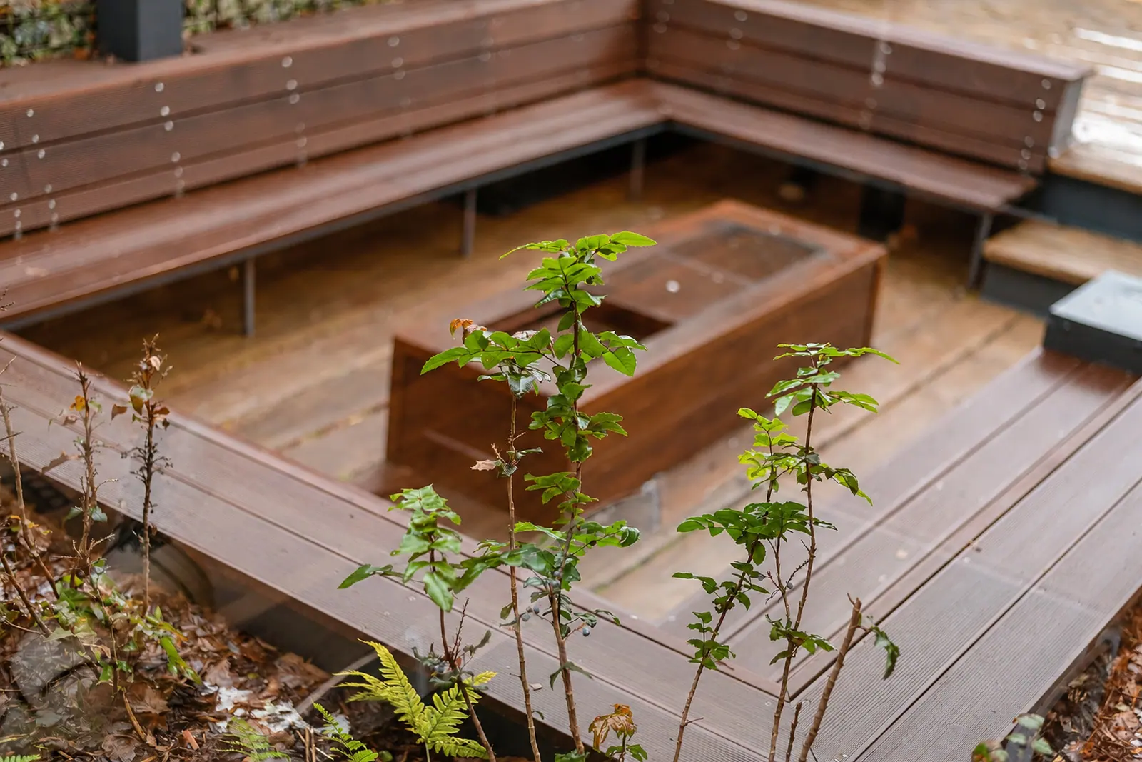 The outdoor courtyard, with timber seating and a stone wall